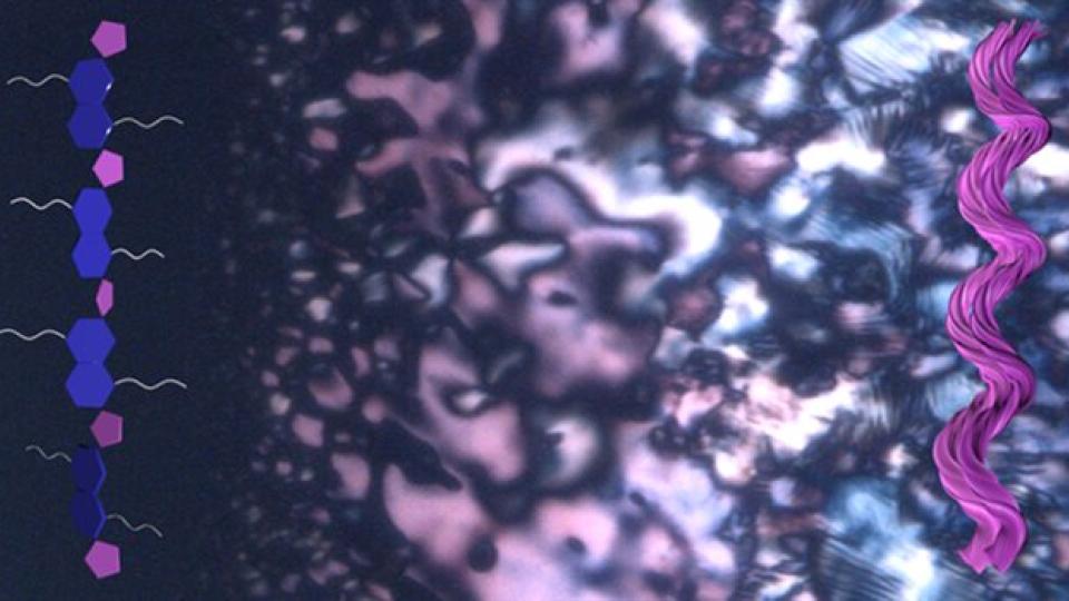 Tiny helices emerge during a phase separation process, offering clues about how life's building blocks may have first developed a preference for one 'handed' form over another. (Credit: Jong-Hoon Lee, Ziming Wang, Ying Diao)